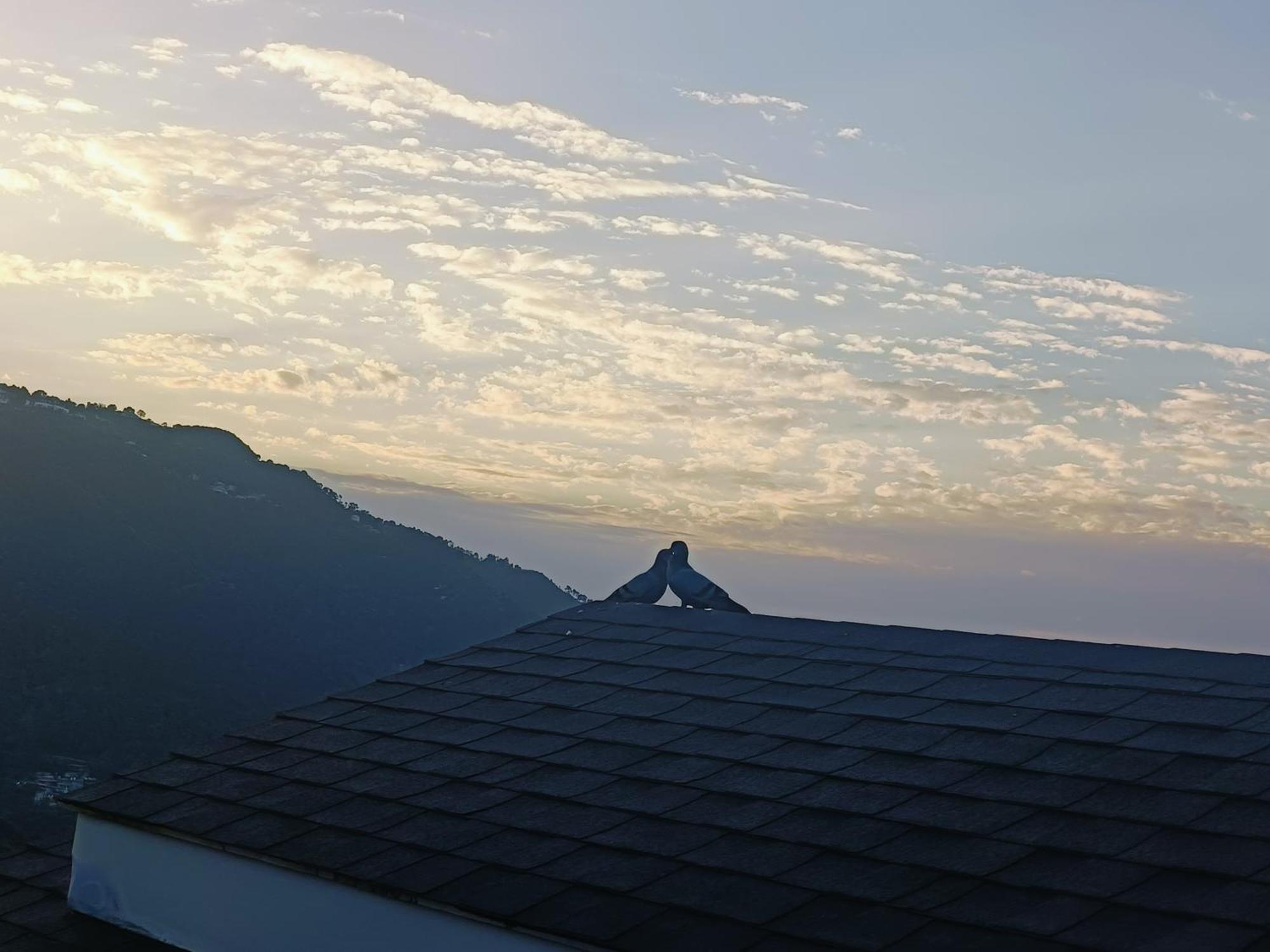Sun Rise View At Twin Oaks' Apartment